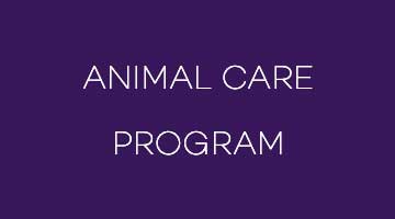 label box for animal work